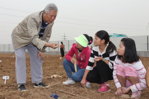 小麦就是我的娃.jpg