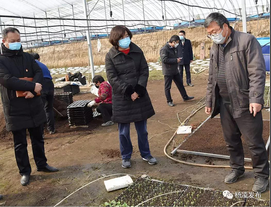 微信图片_20200211212421.jpg 微信图片_20200211212421.jpg