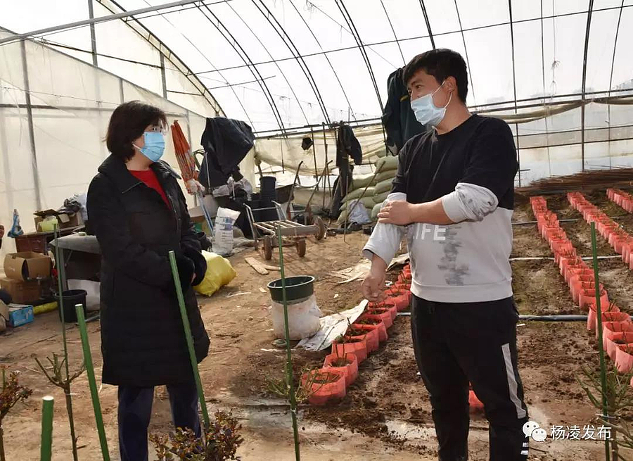 微信图片_20200211212414.jpg 微信图片_20200211212414.jpg