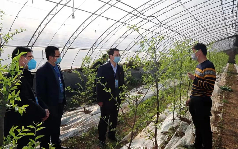 微信图片_20200211220157.jpg 微信图片_20200211220157.jpg