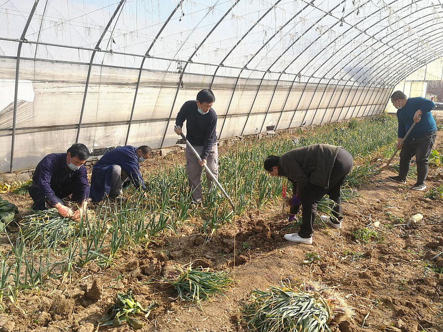 图片1.jpg 图片1.jpg