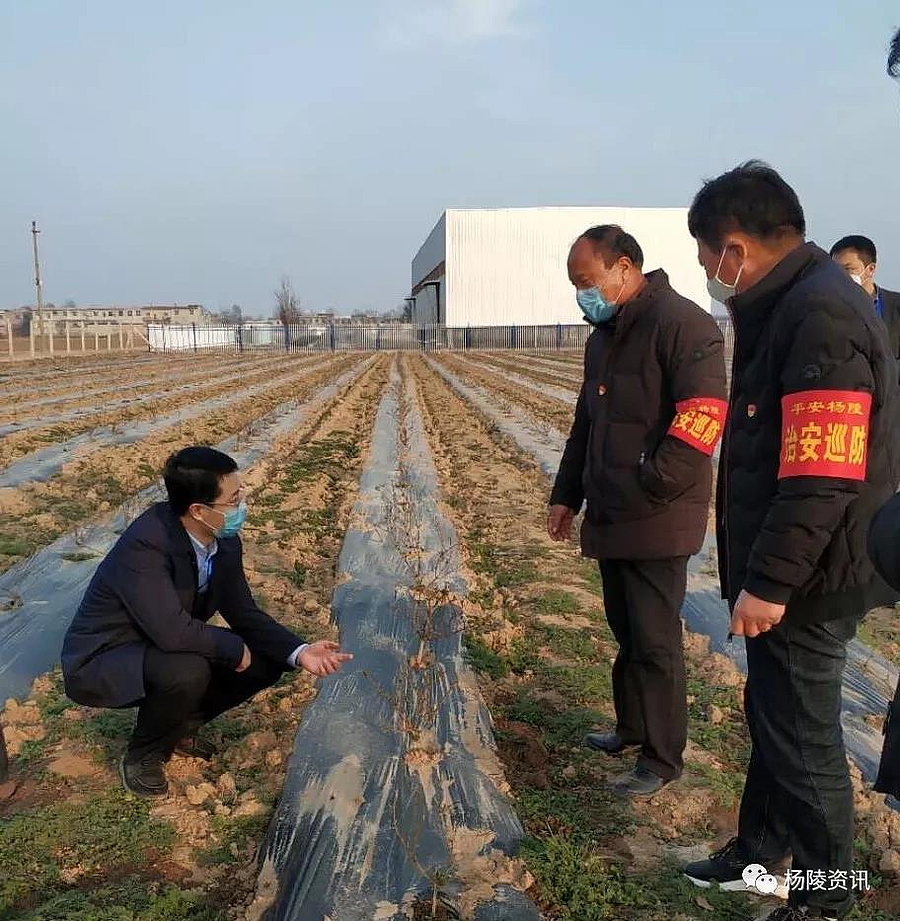 微信图片_20200216104324.jpg 微信图片_20200216104324.jpg