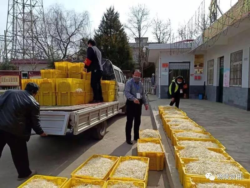 微信图片_20200216104244.jpg 微信图片_20200216104244.jpg