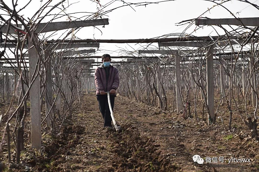 微信图片_20200216145426.jpg 微信图片_20200216145426.jpg