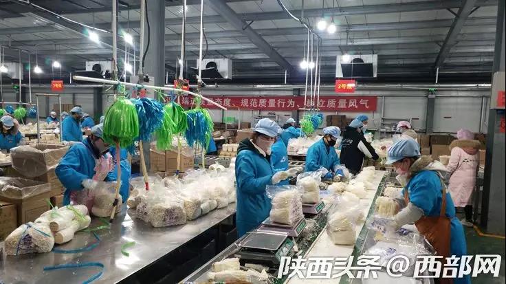 微信图片_20200216145741.jpg 微信图片_20200216145741.jpg