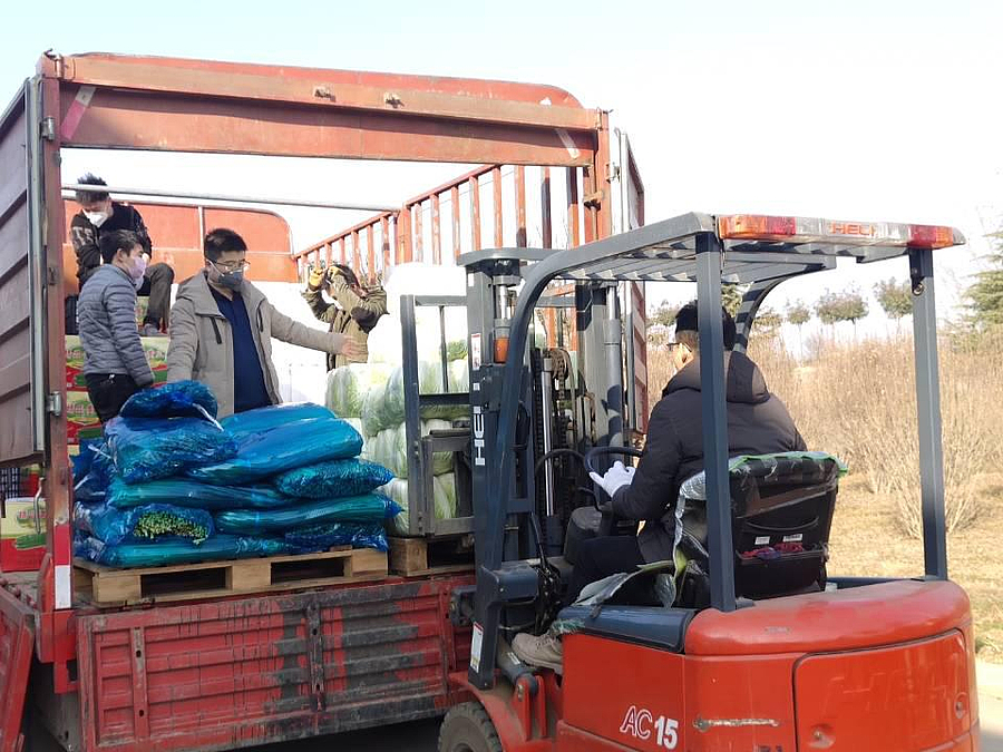 图片5.jpg 图片5.jpg