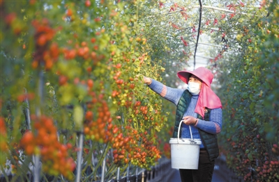 微信图片_20200220143718.jpg 微信图片_20200220143718.jpg