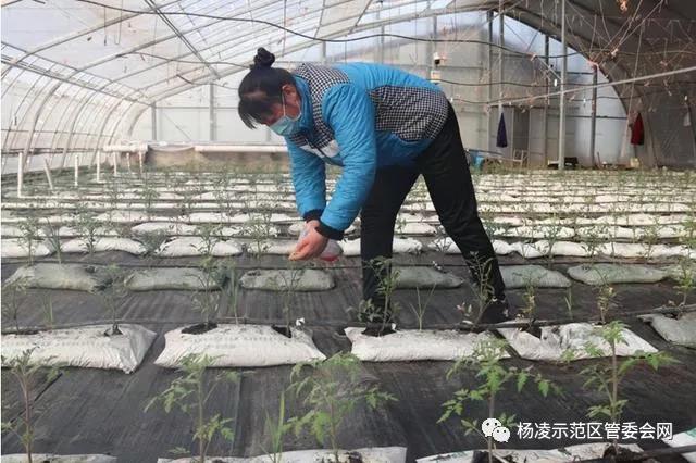 微信图片_20200221091000.jpg 微信图片_20200221091000.jpg