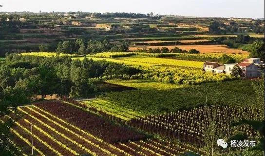 微信图片_20200227085811.jpg 微信图片_20200227085811.jpg