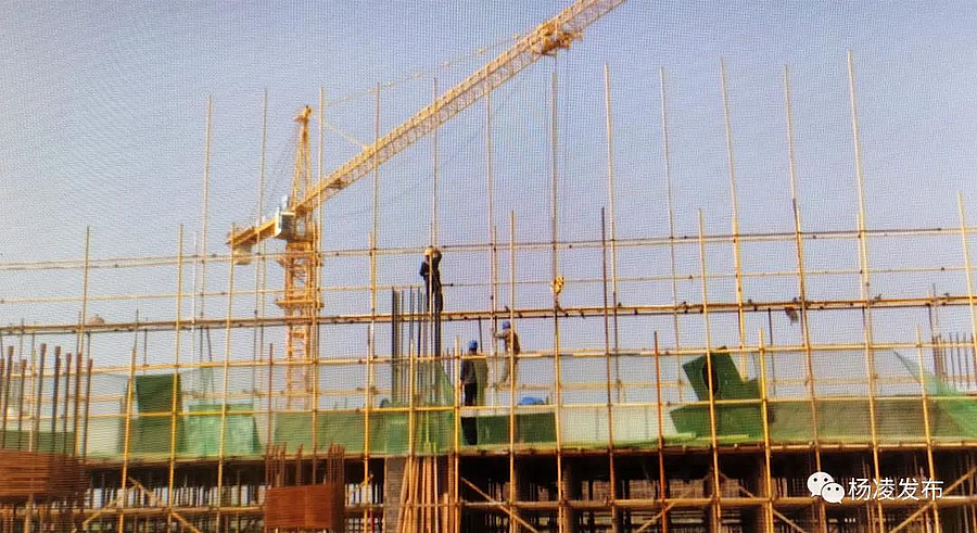 微信图片_20200307173703.jpg 微信图片_20200307173703.jpg