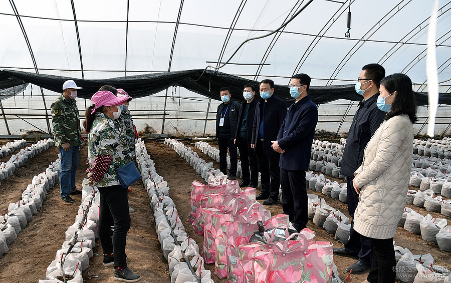 202003080905057_b.jpg 202003080905057_b.jpg