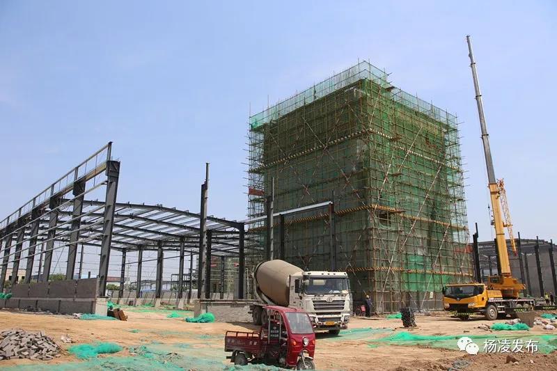 微信图片_20200428084659.jpg 微信图片_20200428084659.jpg