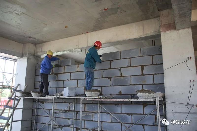 微信图片_20200428084655.jpg 微信图片_20200428084655.jpg