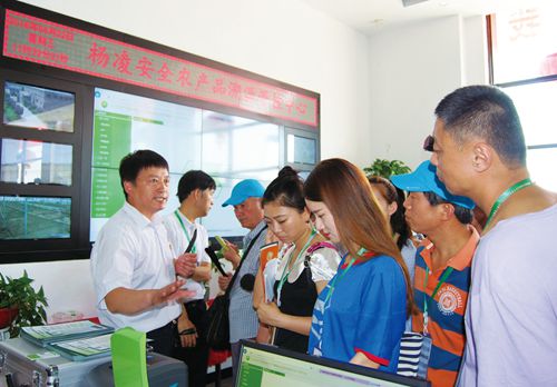 1473295261586019123.jpg 安全农产品.jpg