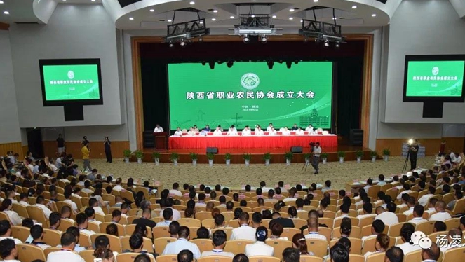 农民协会1.jpg