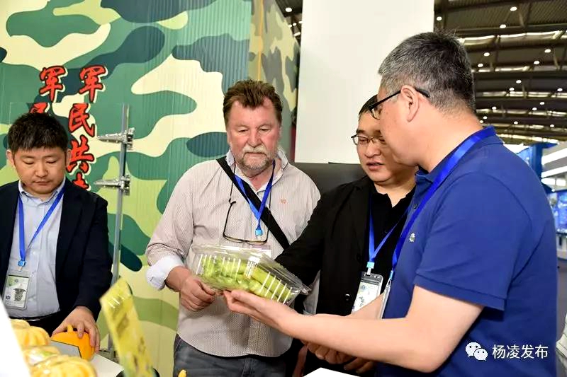 杨凌2.jpg 杨凌2.jpg