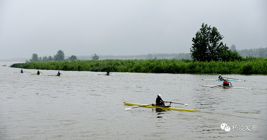 微信图片_20190624193646.jpg 微信图片_20190624193646.jpg