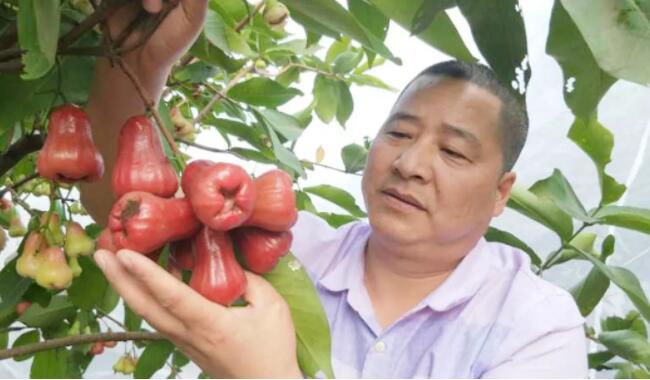 QQ截图20190202084246.jpg QQ截图20190202084246.jpg