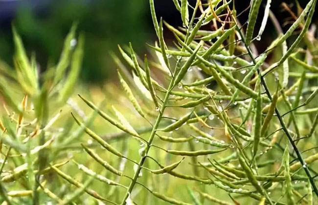 微信图片_20190203201649.jpg 微信图片_20190203201649.jpg