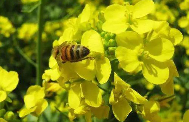 微信图片_20190203201639.jpg 微信图片_20190203201639.jpg