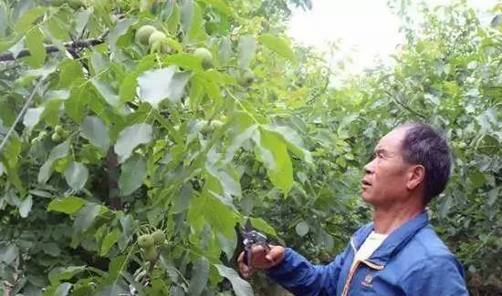 微信图片_20190225202904.jpg 微信图片_20190225202904.jpg