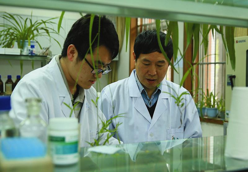 康振生.jpg 康振生.jpg