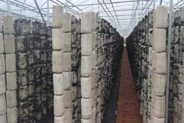 dad330d6cc874a32a982ad7004ef006e.jpeg dad330d6cc874a32a982ad7004ef006e.jpeg