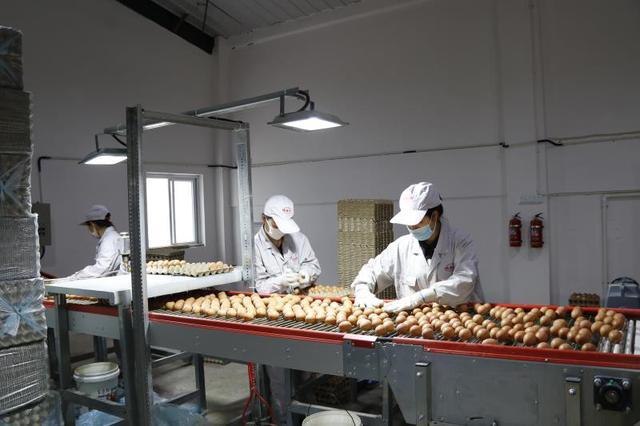 854f5c22b8774b0e87d2be86afec7979.jpg 854f5c22b8774b0e87d2be86afec7979.jpg