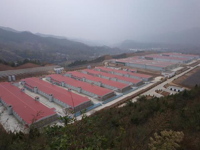 4dfe2d1c1de3439395b149942eb7fa8c.jpg 4dfe2d1c1de3439395b149942eb7fa8c.jpg