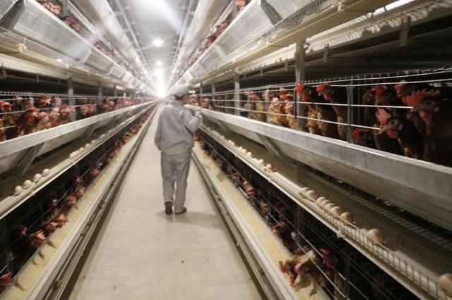 67f7169f7f9c421aab757bd5ff13f65b.jpg 67f7169f7f9c421aab757bd5ff13f65b.jpg