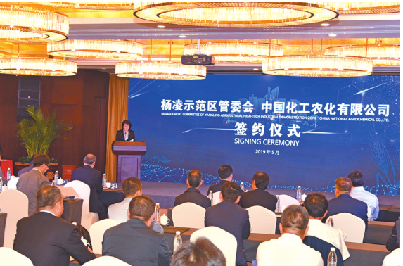 种业1.png 种业1.png