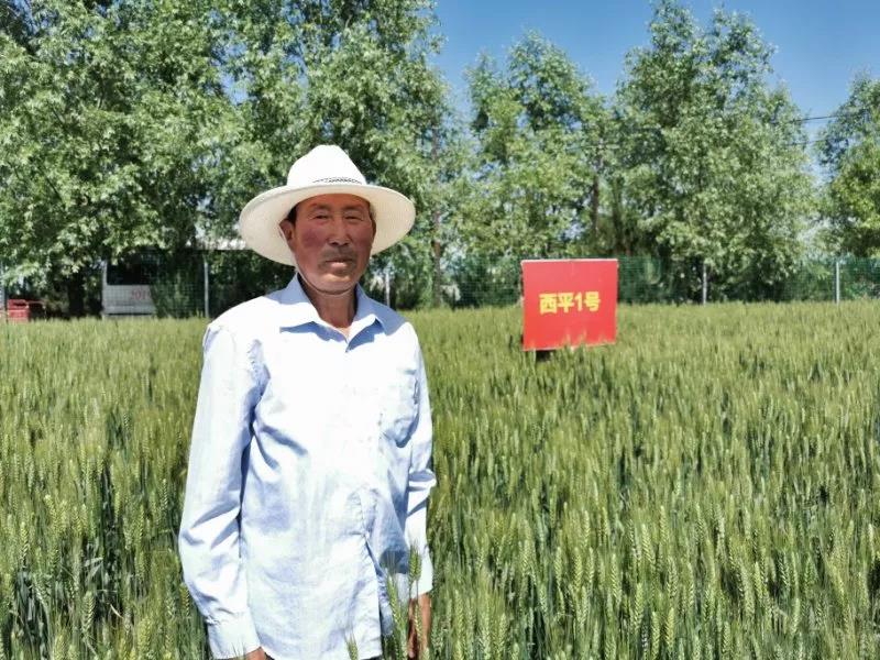 农科5.jpg 农科5.jpg