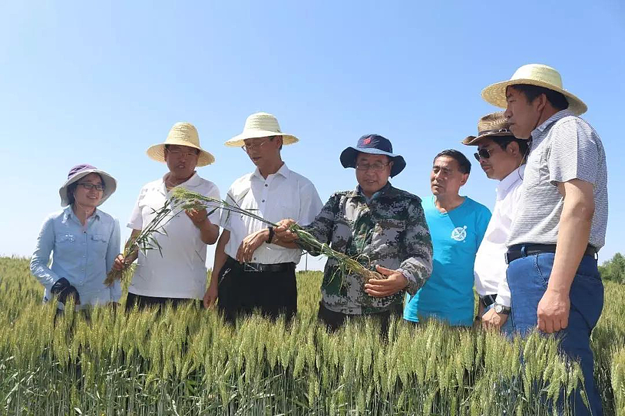 农科2.jpg 农科2.jpg