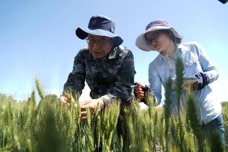 农科3.jpg 农科3.jpg