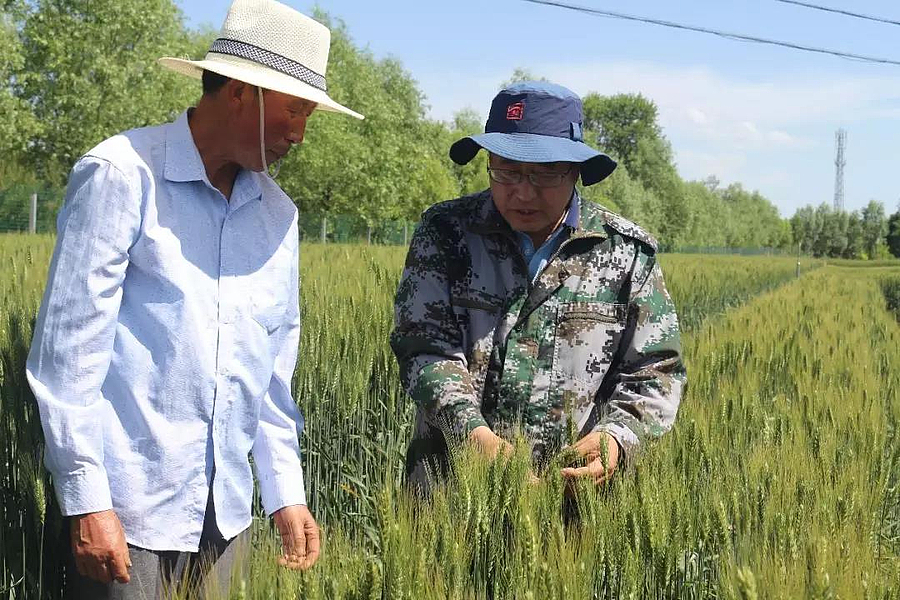 农科4.jpg 农科4.jpg