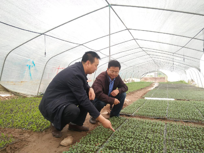 1124688958_15618098665731n.png 1124688958_15618098665731n.png