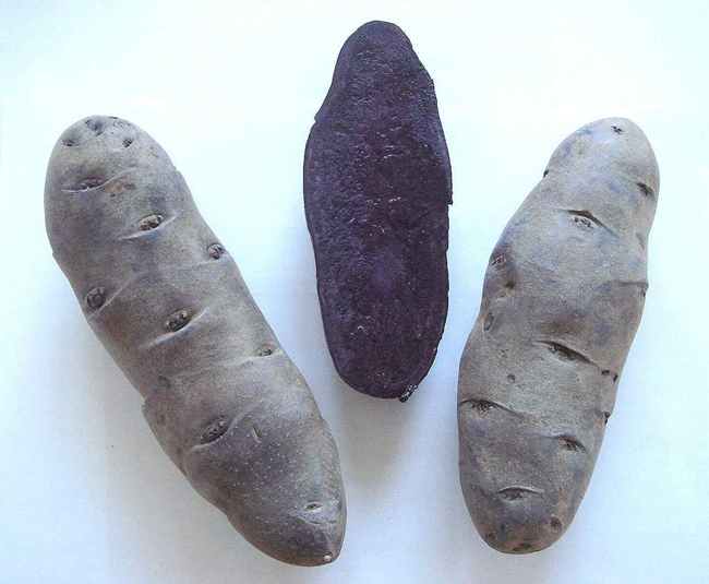 彩色4.jpg 彩色4.jpg