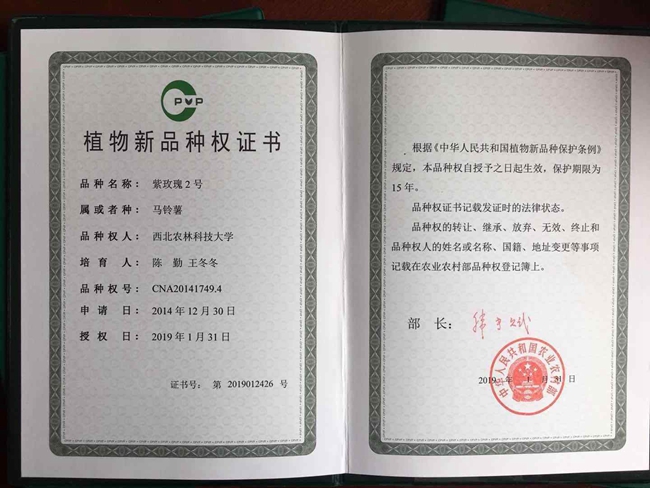 彩色2.jpg 彩色2.jpg