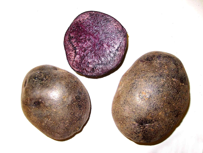 彩色1.jpg 彩色1.jpg