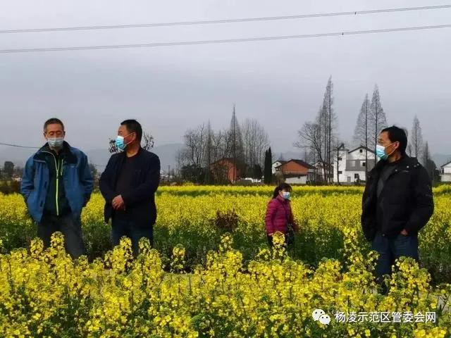 微信图片_20200322222854.jpg 微信图片_20200322222854.jpg