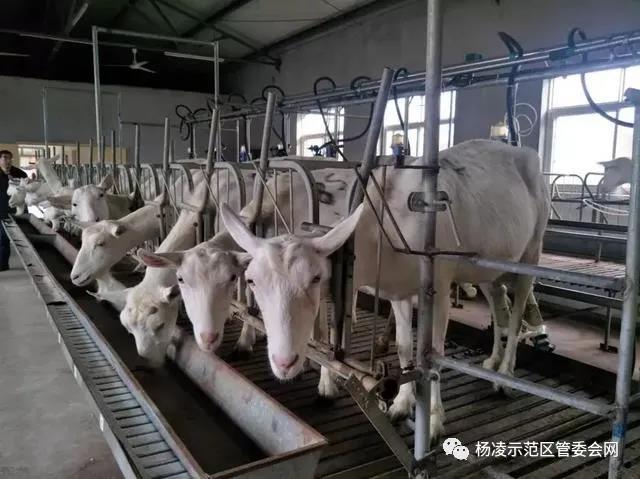 微信图片_20200322222912.jpg 微信图片_20200322222912.jpg