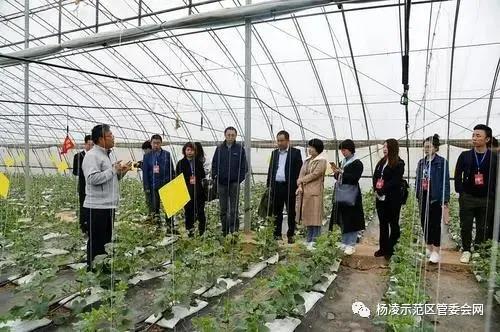 微信图片_20200322222930.jpg 微信图片_20200322222930.jpg