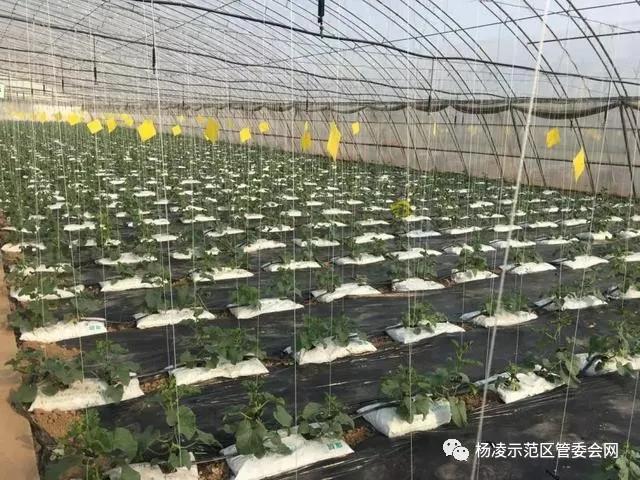 微信图片_20200322222922.jpg 微信图片_20200322222922.jpg