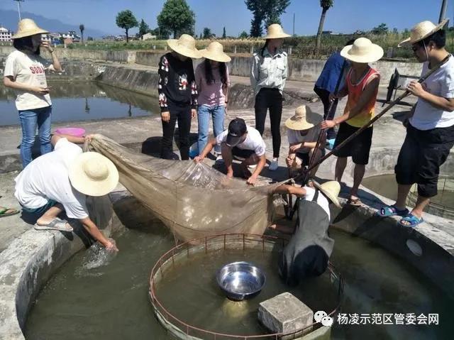 微信图片_20200322222915.jpg 微信图片_20200322222915.jpg