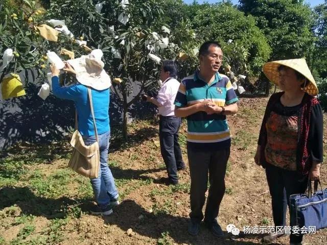 微信图片_20200322222933.jpg 微信图片_20200322222933.jpg