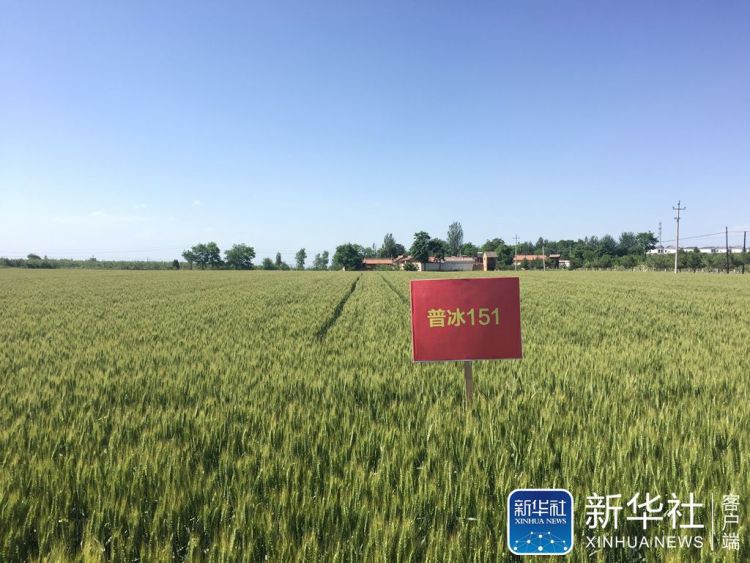 新华2.jpg 新华2.jpg