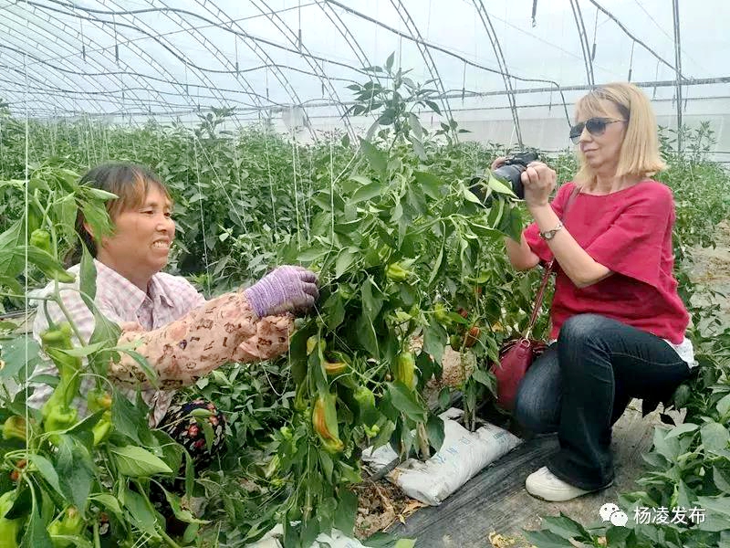 一带一路2.jpg 一带一路2.jpg