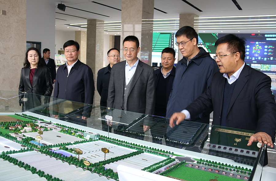 IMG_0126.JPG IMG_0126.JPG