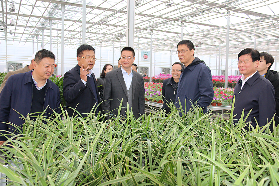 IMG_0159.JPG IMG_0159.JPG