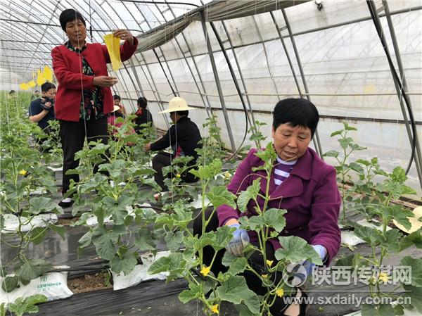 刘大姐.jpg 刘大姐.jpg